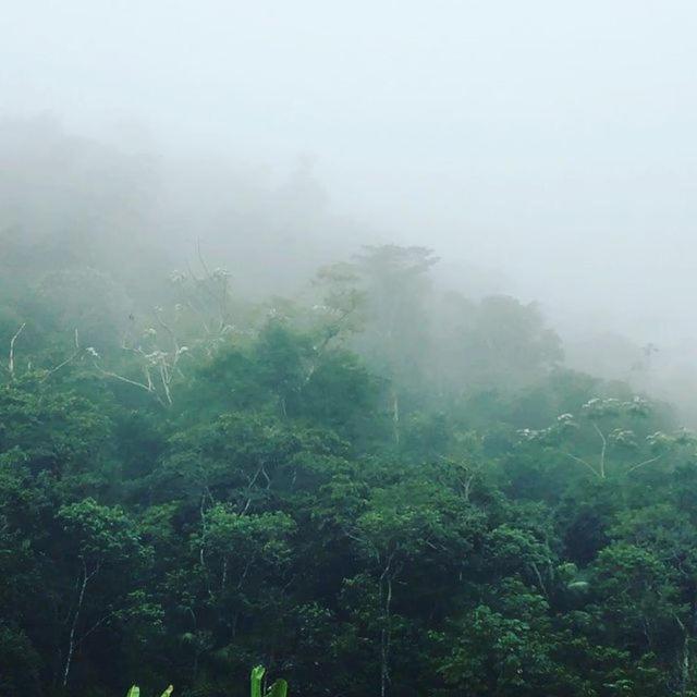 Sitio Recanto Da Preguica Santa Teresa  Ngoại thất bức ảnh